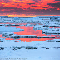 Buy canvas prints of Sea ice sunset. by Ashley Cooper