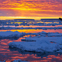 Buy canvas prints of Antarctic sunset by Ashley Cooper