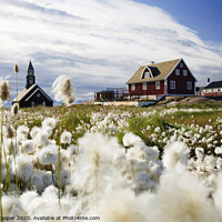 Buy canvas prints of Cottongrass church by Ashley Cooper