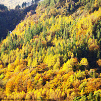 Buy canvas prints of Thirlmere by Ashley Cooper