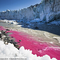 Buy canvas prints of Pink glacier. by Ashley Cooper