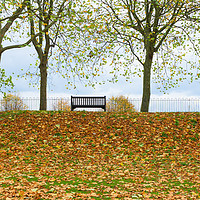Buy canvas prints of Solitary bench in an autumnal park  by Peter Smith