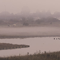 Buy canvas prints of early morning mist by Peter Smith