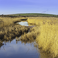 Buy canvas prints of Rainham Marshes Essex UK by Peter Smith