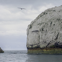 Buy canvas prints of The Needles .Isle of Wight by Peter Smith