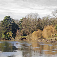 Buy canvas prints of River Medway at Aylesford, Kent by Peter Smith