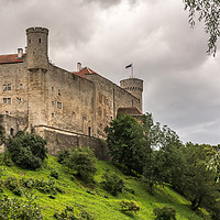 Buy canvas prints of Castle with towers on a hill by Jelena Maksimova