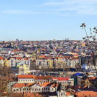 Buy canvas prints of Aerial view of Prague by Jelena Maksimova
