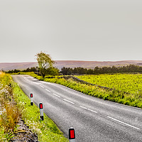 Buy canvas prints of Yorkshire Lane by Amy Irwin-Steens