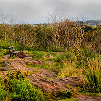 Buy canvas prints of Thurstaston Hill View Point by Amy Irwin-Steens
