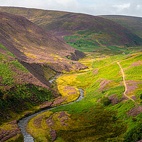 Buy canvas prints of Beautiful Bowland by gary telford