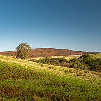 Buy canvas prints of Beautiful Bowland by gary telford