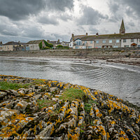 Buy canvas prints of Ballywalter village by gary telford