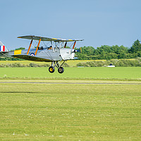 Buy canvas prints of Tiger Moth Grass Landing by Ben Dale