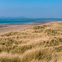 Buy canvas prints of Harlech Beach and Dunes Panorama, Snowdonia by Ben Dale