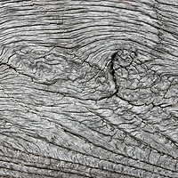 Buy canvas prints of Old oak lime washed beam by John Biglin