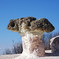 Buy canvas prints of Stone mushrooms by Martin Smith