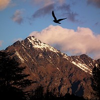 Buy canvas prints of Sunset over Queenstown Hill by Martin Smith