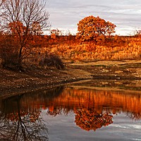 Buy canvas prints of Golden hour reflection by Martin Smith
