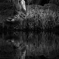 Buy canvas prints of  Wood Nymph - Lost in Thought by Andy Bennette
