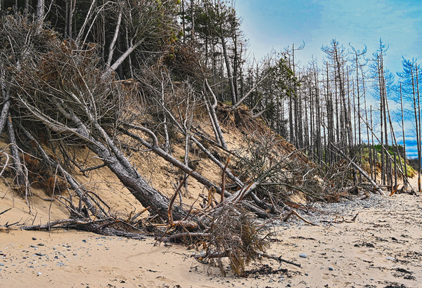Newborough beach coastal erosion Picture Board by Kevin Smith