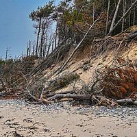 Buy canvas prints of Newborough beach coastal erosion by Kevin Smith