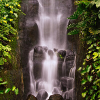 Buy canvas prints of Tropical Waterfall by Kevin Smith