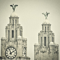 Buy canvas prints of The famous Liverpool Liver Birds in monochrome  by Kevin Smith