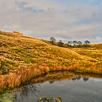 Buy canvas prints of Ogden Reservoir hillside by Kevin Smith