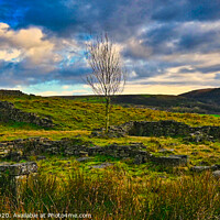 Buy canvas prints of Lonely tree, Ogden Valley Lancashire by Kevin Smith