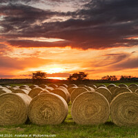 Buy canvas prints of Circular bales at sunset  by Stuart Hill