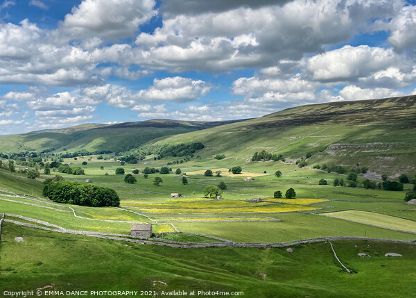Rolling fields of the Yorkshire Dales Picture Board by EMMA DANCE PHOTOGRAPHY