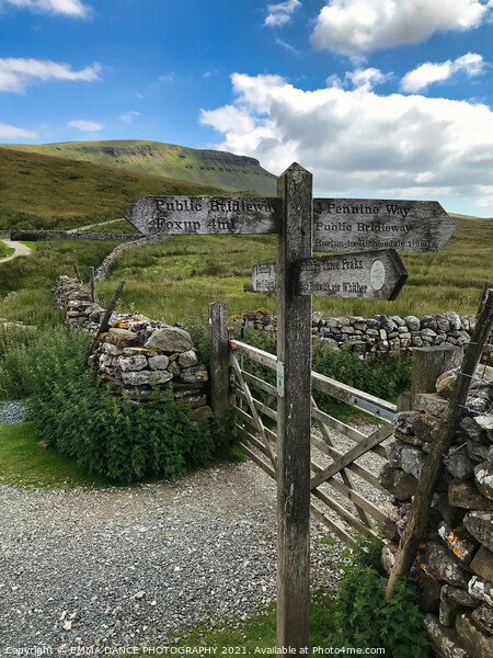 The route to Pen-y-Ghent  Picture Board by EMMA DANCE PHOTOGRAPHY