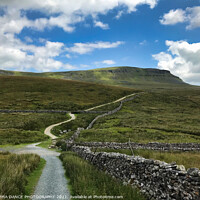Buy canvas prints of Pen-y-Ghent  by EMMA DANCE PHOTOGRAPHY