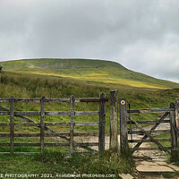 Buy canvas prints of Whernside in the Yorkshire Dales by EMMA DANCE PHOTOGRAPHY