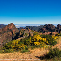 Buy canvas prints of Pico Ruivo and Pico do Arieiro Trail, Madeira by EMMA DANCE PHOTOGRAPHY