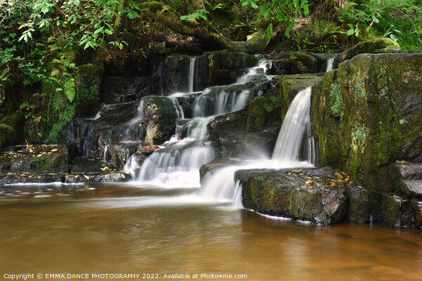 The Waterfalls at Hareshaw Linn, Bellingham   Picture Board by EMMA DANCE PHOTOGRAPHY