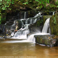 Buy canvas prints of The Waterfalls at Hareshaw Linn, Bellingham   by EMMA DANCE PHOTOGRAPHY