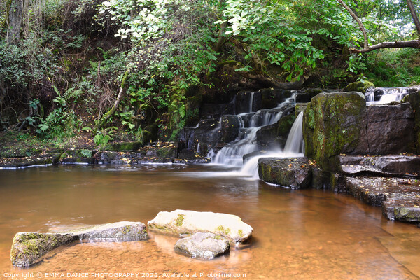 The Waterfalls at Hareshaw Linn, Bellingham  Picture Board by EMMA DANCE PHOTOGRAPHY