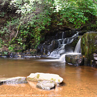 Buy canvas prints of The Waterfalls at Hareshaw Linn, Bellingham  by EMMA DANCE PHOTOGRAPHY