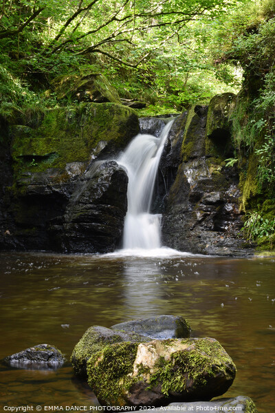 The Waterfalls at Hareshaw Linn, Bellingham Picture Board by EMMA DANCE PHOTOGRAPHY