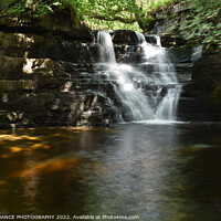 Buy canvas prints of The Waterfalls at Ashgill Force, Cumbria by EMMA DANCE PHOTOGRAPHY