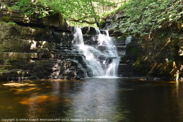 The Waterfalls at Ashgill Force, Cumbria Picture Board by EMMA DANCE PHOTOGRAPHY