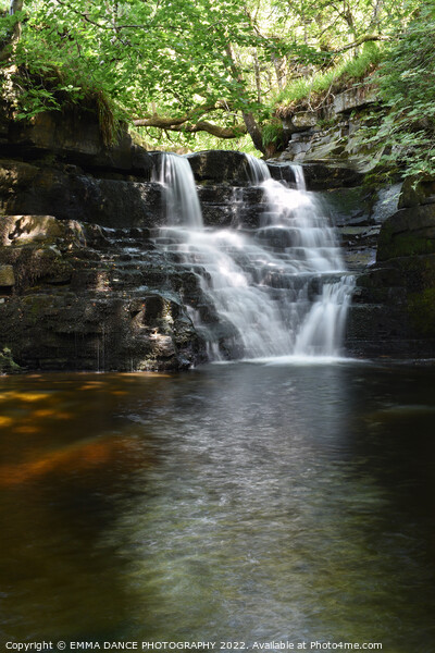 The Waterfalls at Ashgill Force, Cumbria Picture Board by EMMA DANCE PHOTOGRAPHY