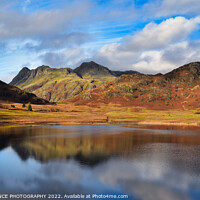 Buy canvas prints of A view across Blea Tarn towards the Langdale Pikes by EMMA DANCE PHOTOGRAPHY