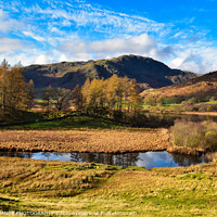 Buy canvas prints of A view across Der Little Langdale Tarn towards the by EMMA DANCE PHOTOGRAPHY