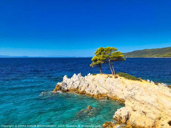 Amarandos Cove, Skopelos Island, Greece Picture Board by EMMA DANCE PHOTOGRAPHY