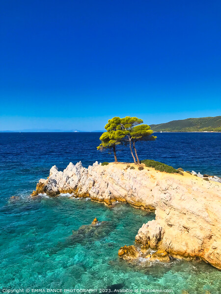 Amarandos Cove, Skopelos Island, Greece Picture Board by EMMA DANCE PHOTOGRAPHY