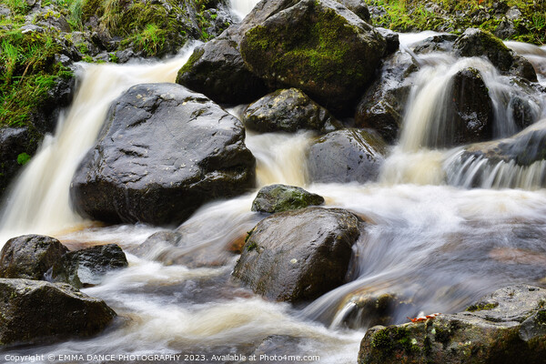 The Waterfalls at Ashness Bridge, Lake District Picture Board by EMMA DANCE PHOTOGRAPHY