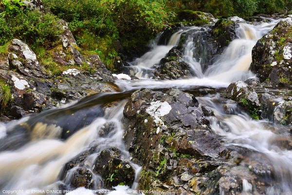 The Waterfalls at Ashness Bridge, Lake District Picture Board by EMMA DANCE PHOTOGRAPHY